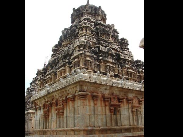 ఆవని :