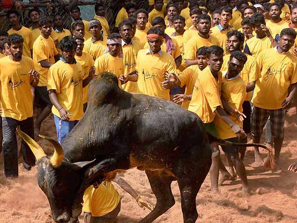 ఎలా వెళ్లాలి: