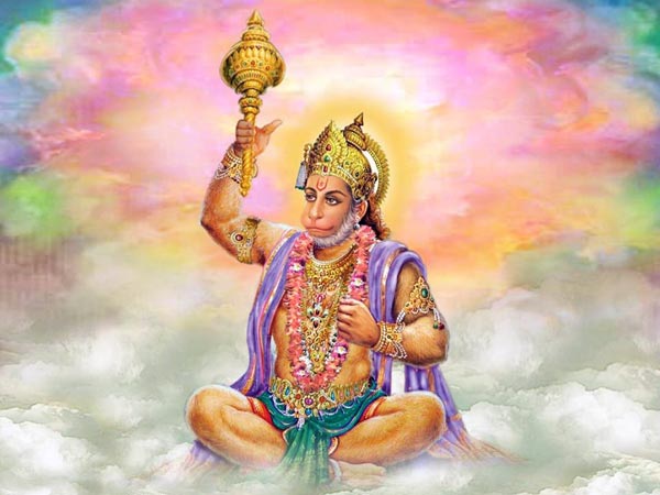 అడ్రస్ :