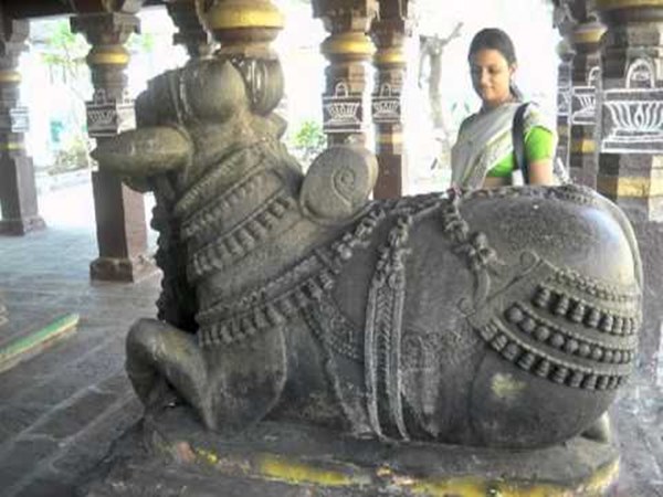 శివలింగము చిన్నగా రుద్రాక్ష ఆకారమును పోలి ఉంటుంది