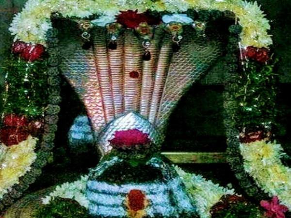 ఉత్సవాల వివరాలు
