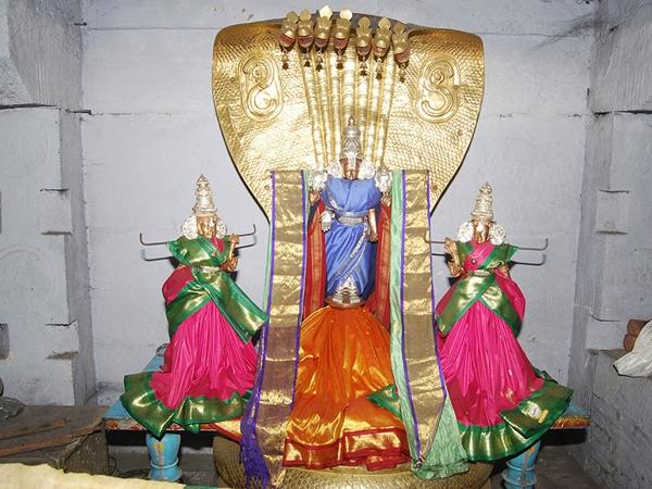 పండగలు, ఉత్సవాల సందర్భాలలో