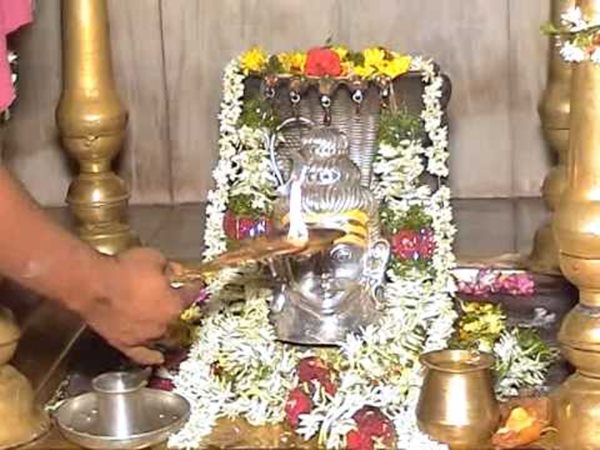 ప్రతి ఆది, బుధవారాల్లో సందడి
