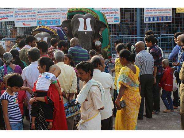 బ్రహ్మోత్సవాలు
