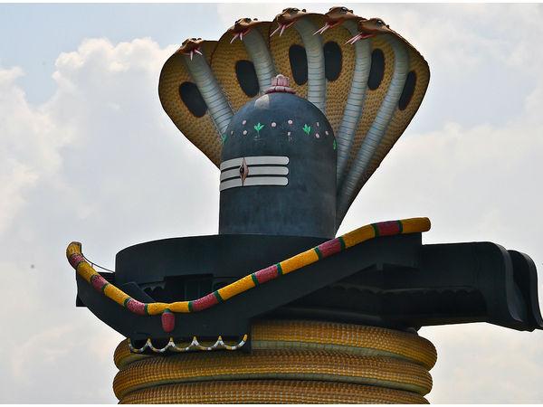 ఈ క్షేత్రంలోనే నాగ కోటిస్వరలయం నిర్మించారు