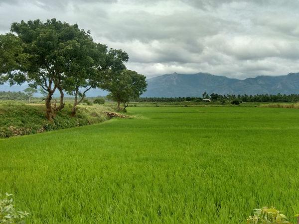 మనస్సాక్షి ధ్యానకేంద్రం..