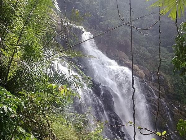 చీన్గిరిమల, చెంబ్రా వంటి శిఖరాల