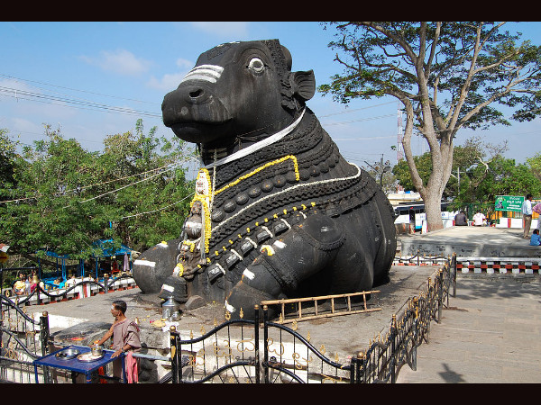 ఆలయంలోని నంది విగ్రహం వద్ద ఉన్న శిలాశాసనం