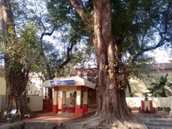 ఇలా రధం ఆకారంలో వున్న ఆలయం ఇంతకు