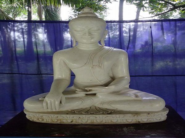 మ్యూజియం