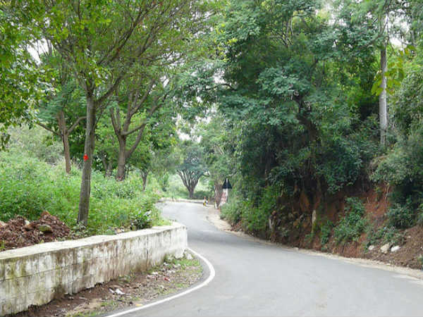 ఎలా చేరుకోవాలి: