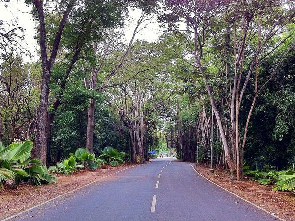 బేలూర్ హళేబీడు చేరుకోవడం ఎలా