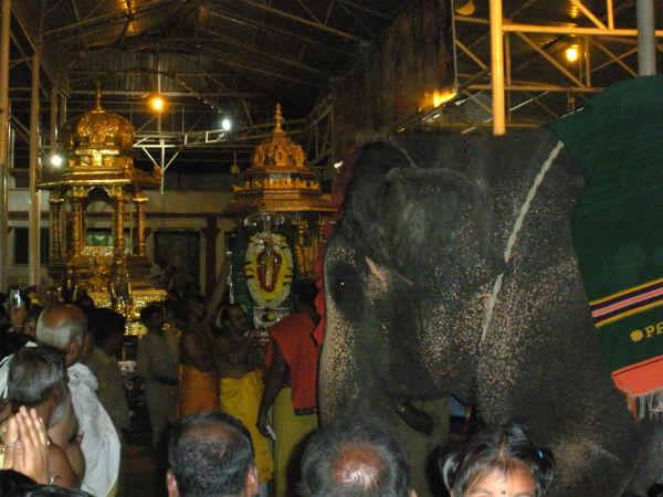 సాయంత్రం స్వామివారి ఏనుగు అందరిని దీవిస్తూ సందడి
