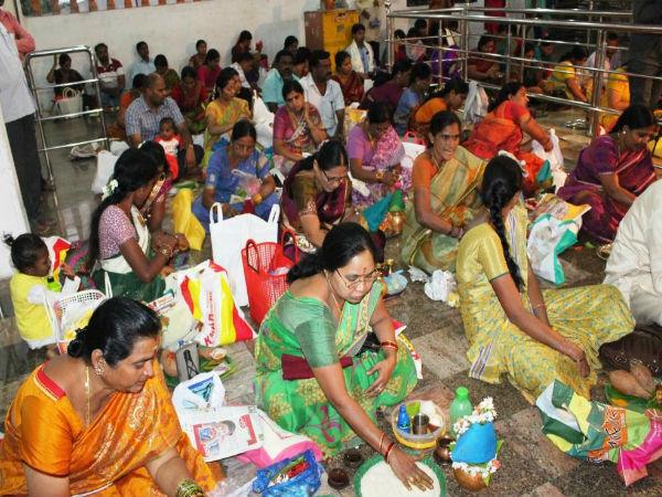 ఇళ్ళలో జిల్లేడు మొక్కలు ఉండకూడదు అనేది ఒక అపోహ మాత్రమే