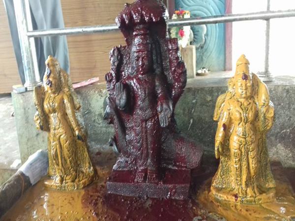 ఈ దేవాలయంలో నాగపడగ నీడన ఆ తల్లి