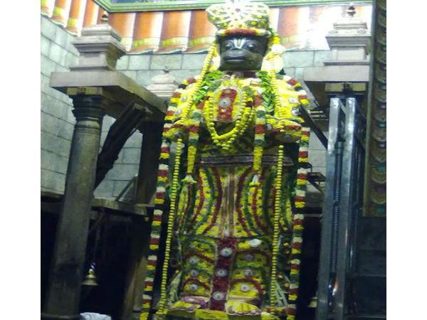 ఈ విగ్రహం స్వయంభువు అయినందునే రోజురోజుకూ పెరుగుతూనే ఉన్నారని