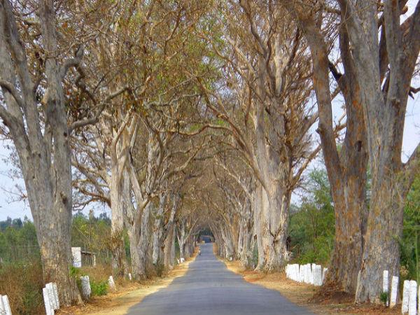 ఎలా వెళ్లాలి?
