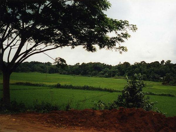 జంపు హిల్స్ :