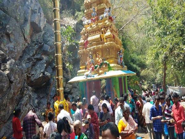 ప్రత్యేకతలు: