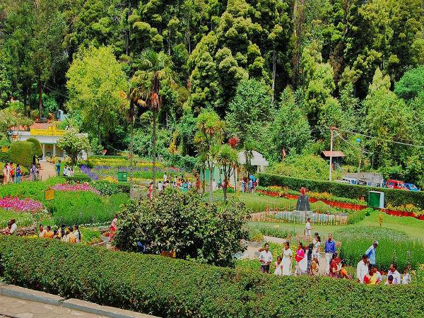 ఎలా చేరుకోవాలి: