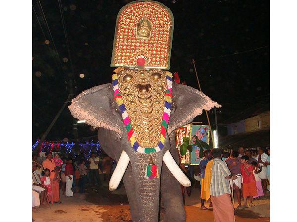 తేన్ కురుస్సి