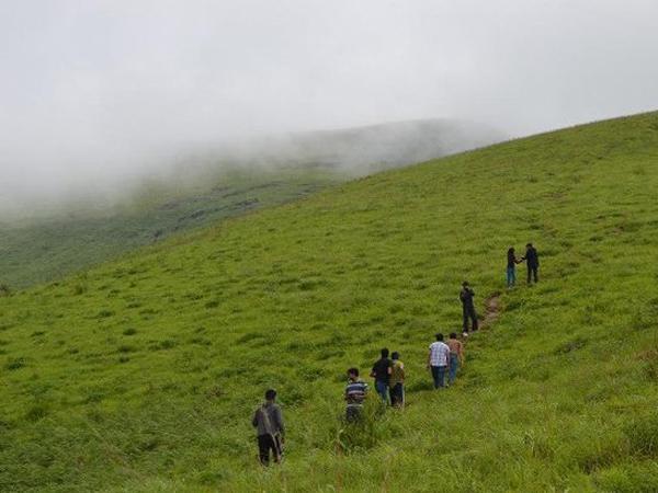 పచ్చని అడవులు, చెట్లు, వన్యప్రాణులతో భూలోక స్వర్గంగా