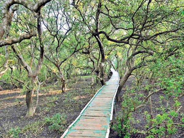 ఎలా వెళ్ళాలి?