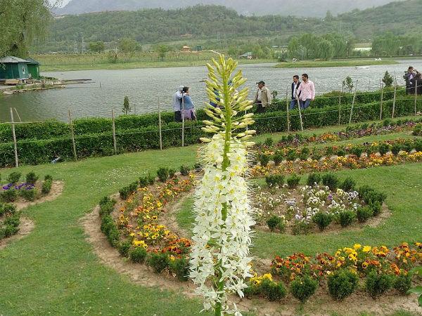 ఈ గార్డెన్ లో 100 రకాల పువ్వులను ఒకే చోట చూడవచ్చు.