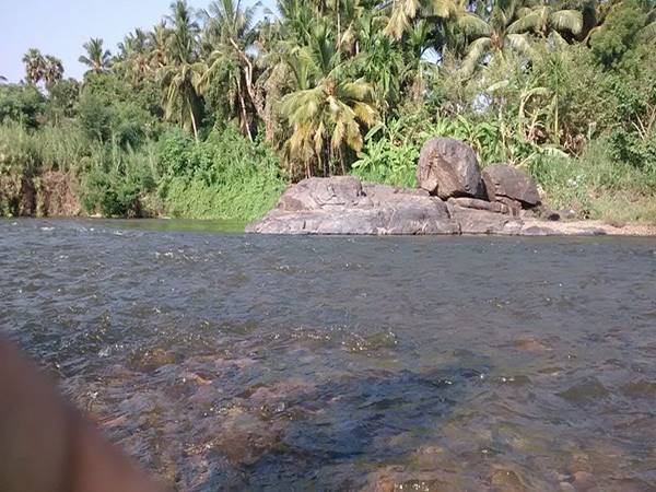 పాలక్కాడ్ చేరటానికి రైలు మరియు రోడ్డు ద్వారా మార్గాలు ఉన్నాయి