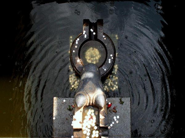 ఇక్కడ వెలసిన విశ్వనాథ ఆలయంలో