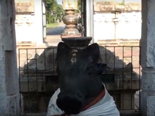 ఈ మహిమాన్విత దేవాలయం ఎక్కడ వుంది?