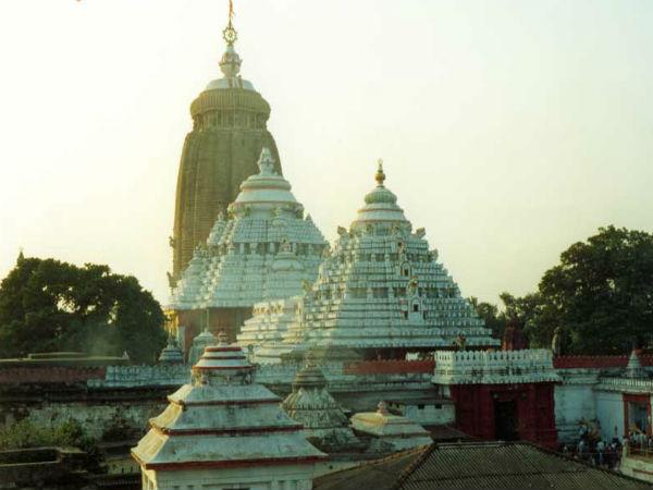 పక్షులు: