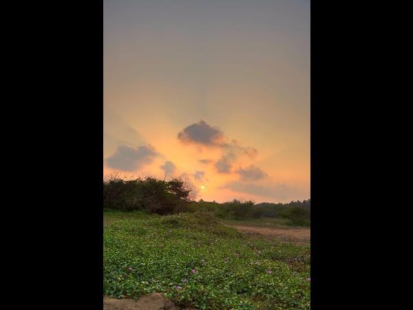 పచ్చని వరిపొలాలు, కొబ్బరి తోటలు దారంతా పలకరిస్తాయి.