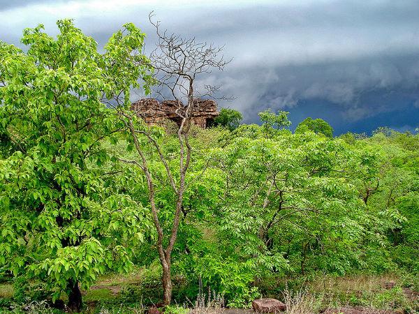 సత్పురా అభయారణ్యంలో సఫారీ అద్భుతంగా ఉంటుంది
