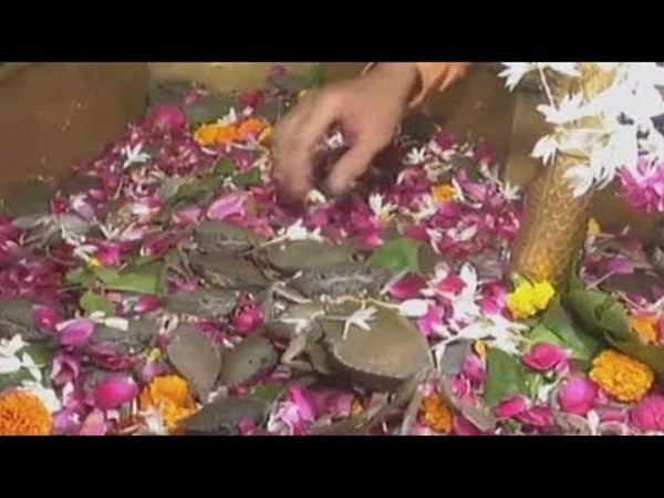 సూరత్ లో సబర్మతీ నదీ తీరంలోని గల్టేశ్వర్