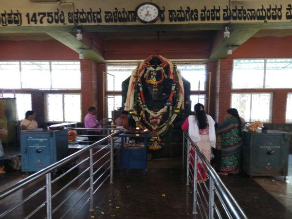 20 అడుగుల ఎత్తు