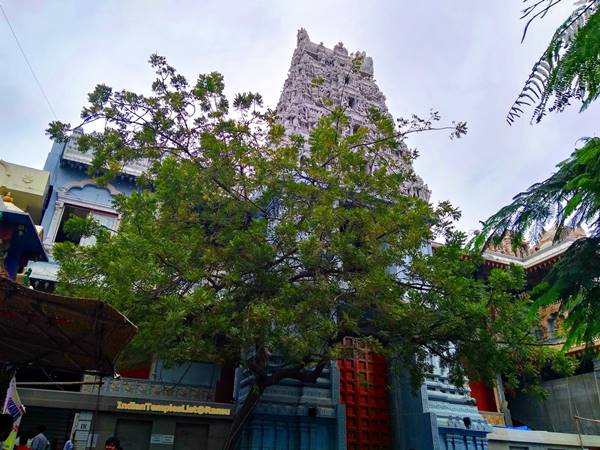 స్కందగిరి’గా నామకరణం