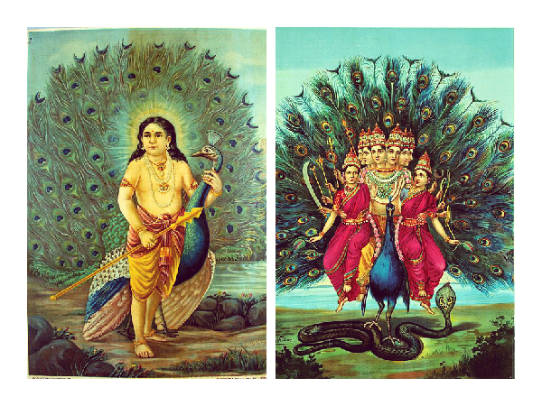 టైమింగ్స్ :