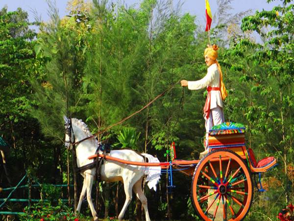 ఎలా చేరుకోవాలి: