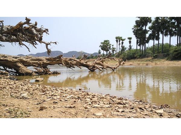 అందాలను చూసి కొత్త ఉత్సాహం