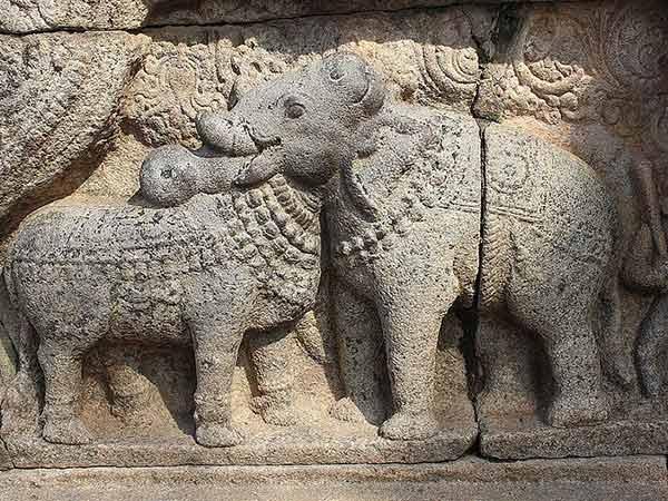 ఇంద్రుని వాహనం అయిన ఐరావతం