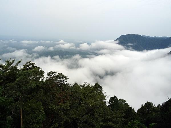 ఆగుంబె
