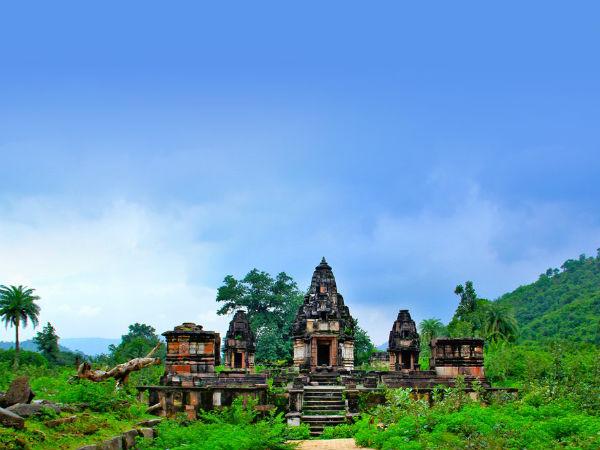 6) పోలో ఫారెస్ట్