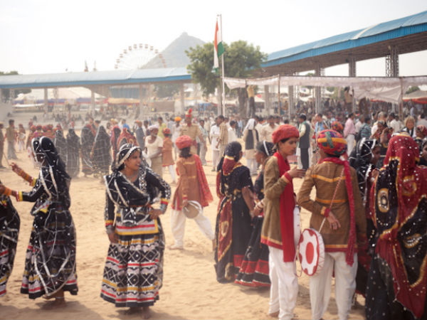 10. నాగౌర్