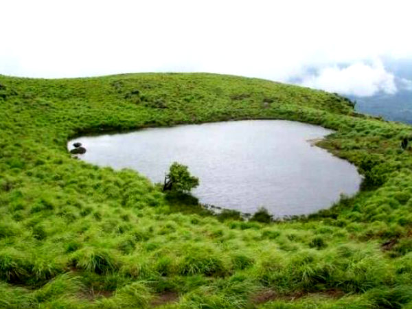 8. వయనాడ్