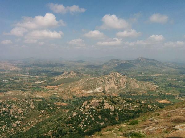 హార్స్లీ హిల్స్ చేరుకోవడం ఎలా