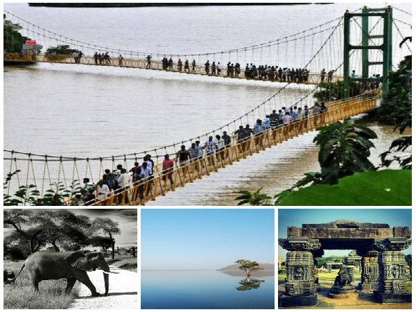 అరుదైనా జీవజాతులు..