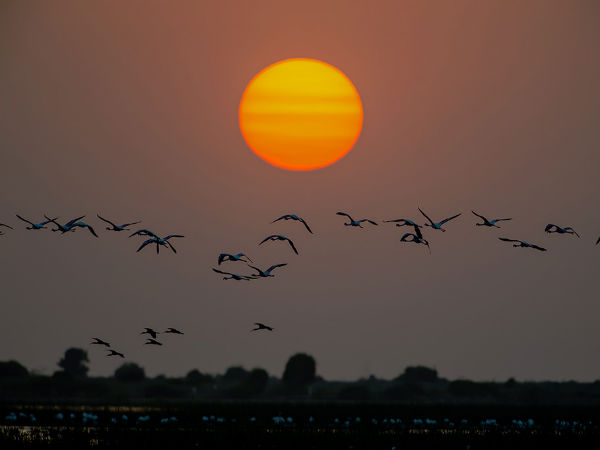 sunsetatlittlerannofkutch sunsetatlittlerannofkutch