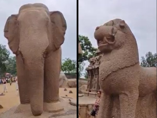 అంతర్జాతీయ ఖ్యాతి