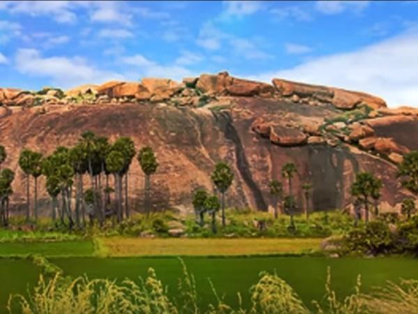 arittapattimaduraitamilnadu arittapattimaduraitamilnadu